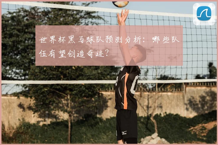 世界杯黑马球队预测分析:哪些队伍有望创造奇迹?