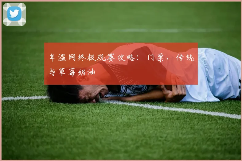 年温网终极观赛攻略：门票、传统与草莓奶油