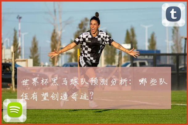 世界杯黑马球队预测分析:哪些队伍有望创造奇迹?